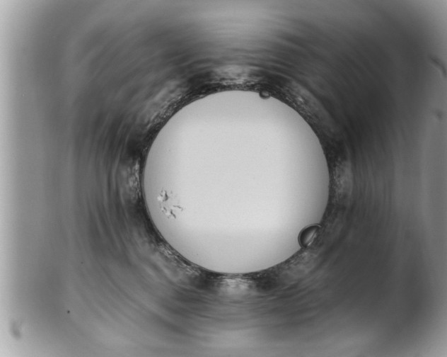 X0000101220376200807071353