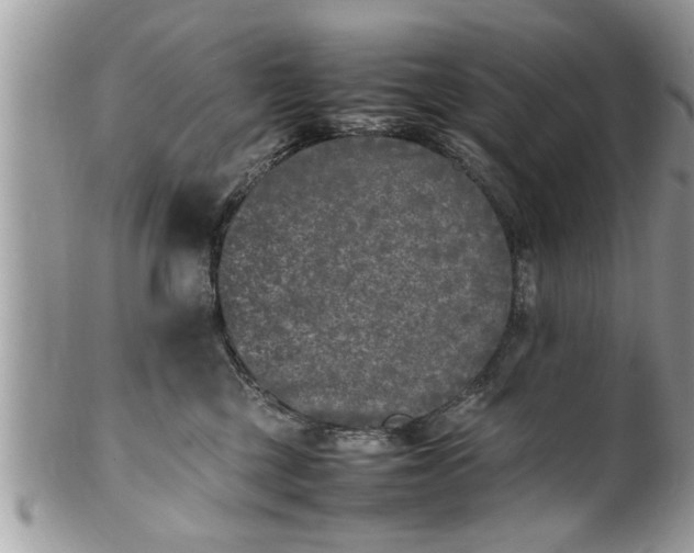 X0000101220377200807071353