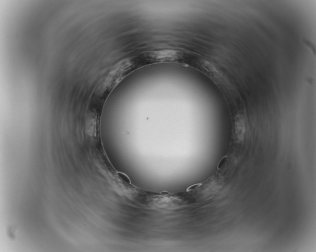 X0000101220379200807071353