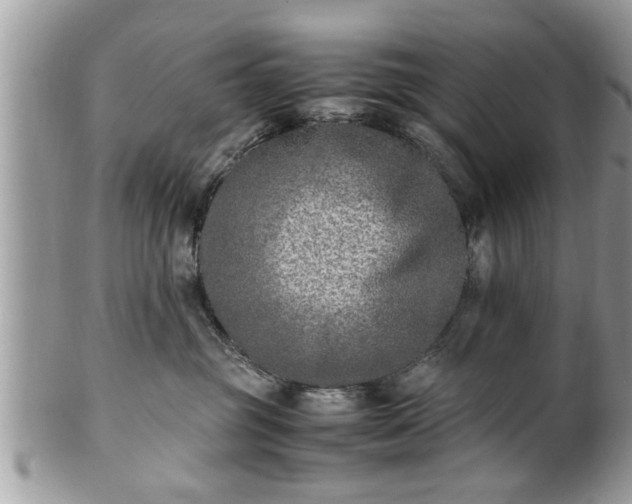 X0000101220381200807071354