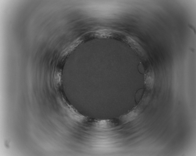 X0000101220382200807071354