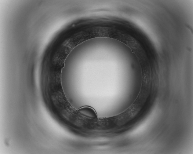 X0000101220383200807071354