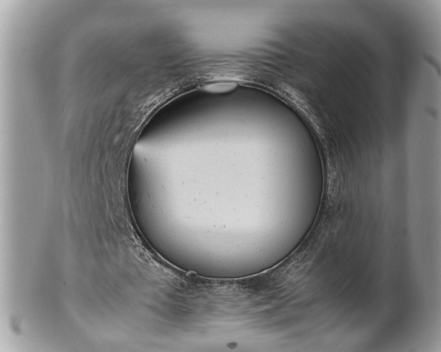 X0000101220385200807071353