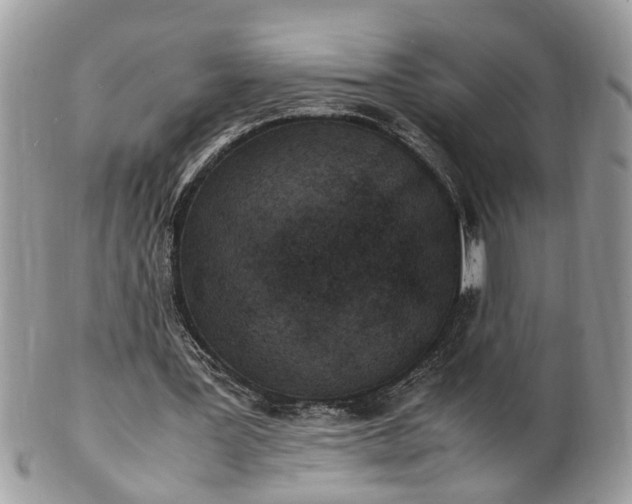 X0000101220387200807071353