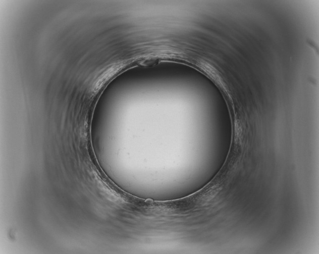 X0000101220389200807071353