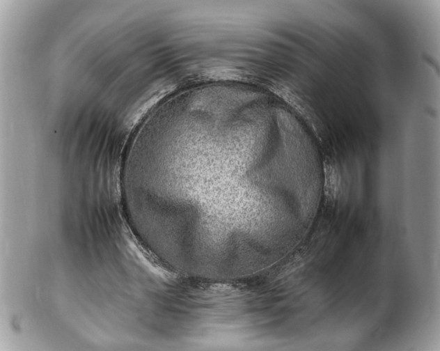 X0000101220390200807071352