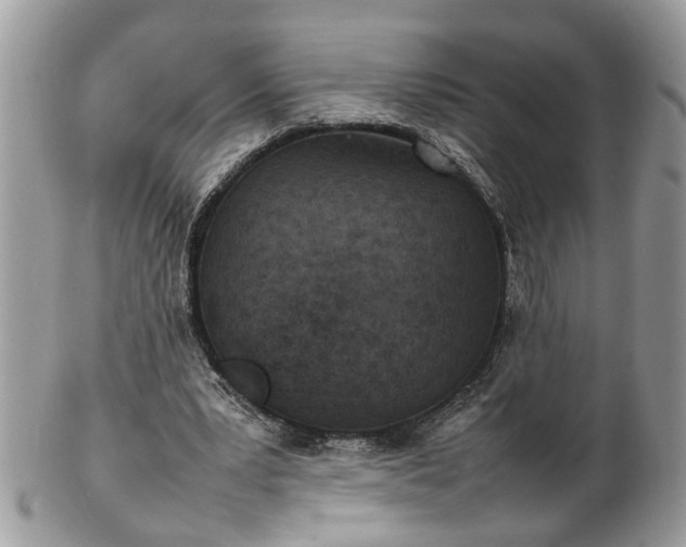 X0000101220391200807071352