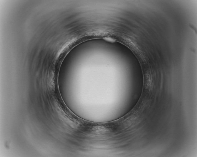 X0000101220392200807071352