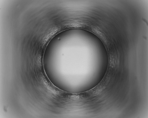 X0000101220394200807071352