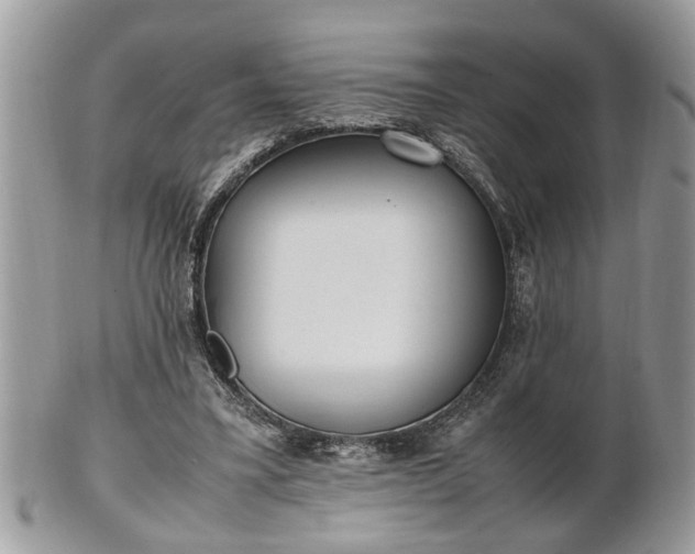 X0000101220395200807071352