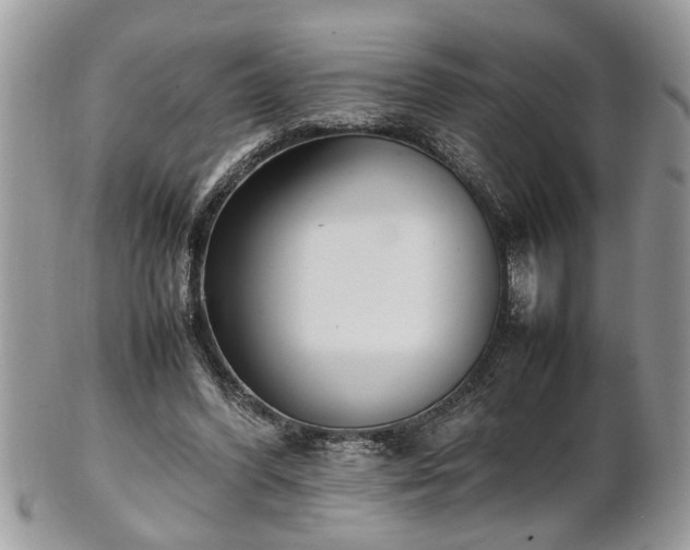 X0000101220396200807071352
