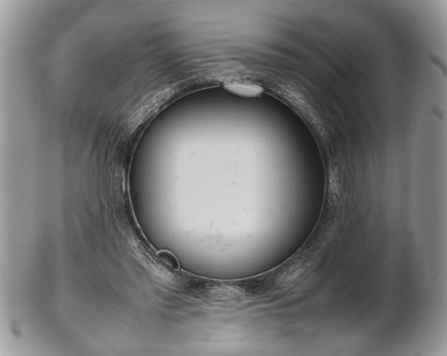 X0000101220397200807071352