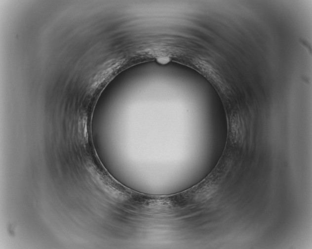 X0000101220398200807071352