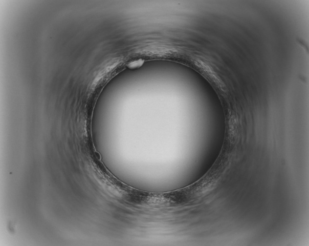 X0000101220399200807071352