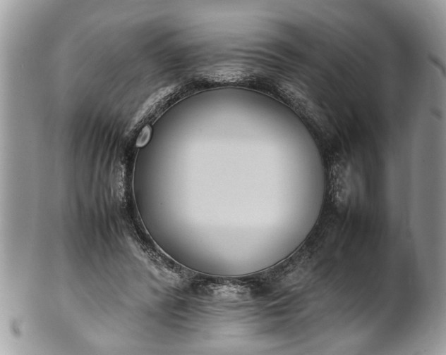 X0000101220400200807071352