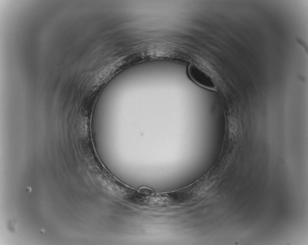 X0000101220401200807071352