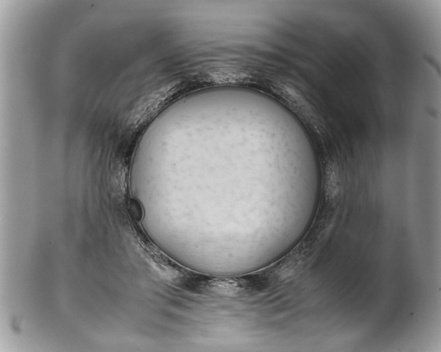 X0000101220405200807071352