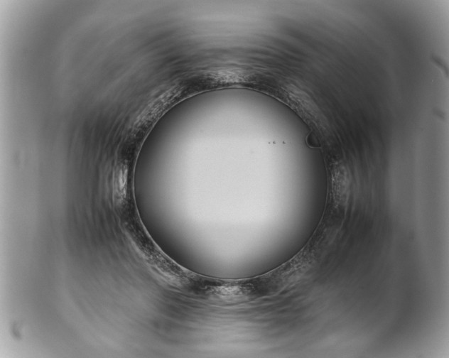 X0000101220406200807071352