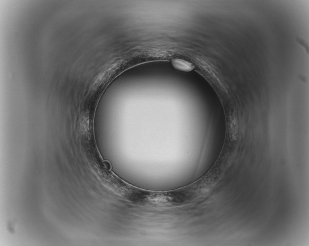 X0000101220407200807071352