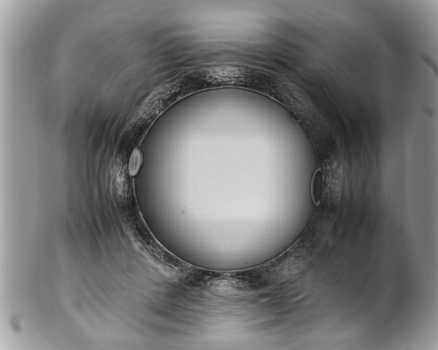 X0000101220408200807071352
