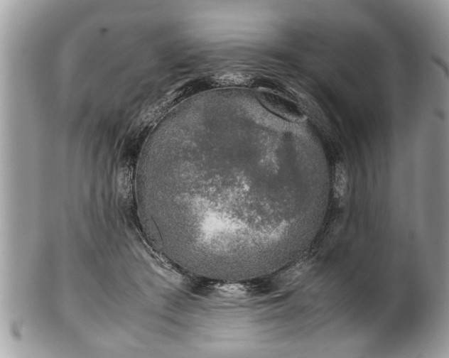 X0000101220409200807071352