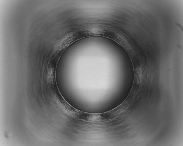 X0000101220410200807071352