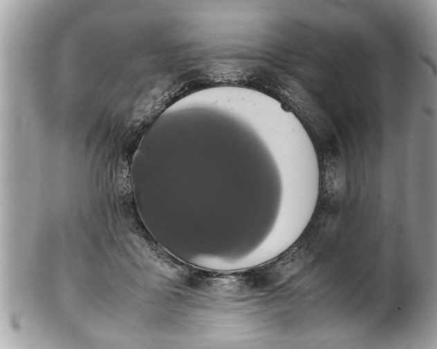 X0000101220411200807071352