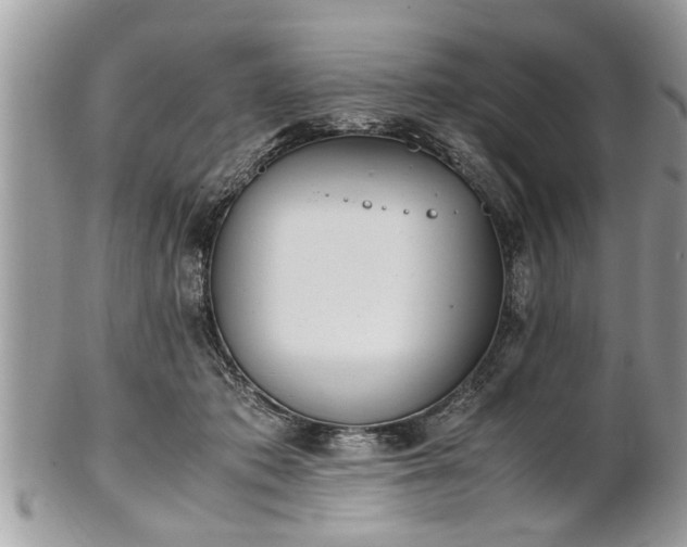X0000101220413200807071352