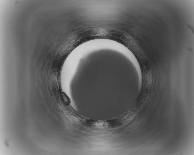 X0000101220415200807071352