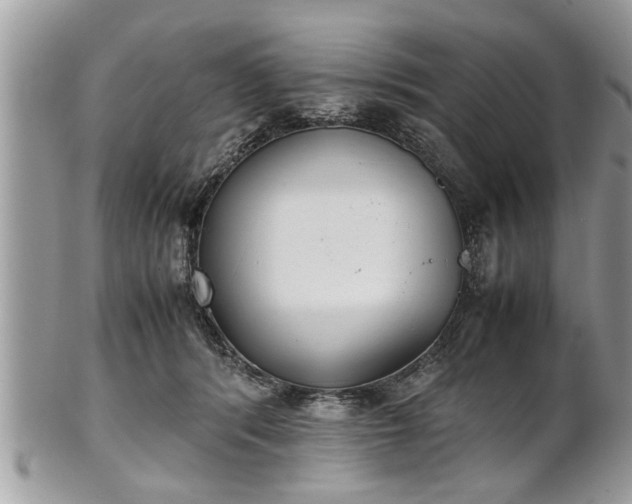 X0000101220416200807071352