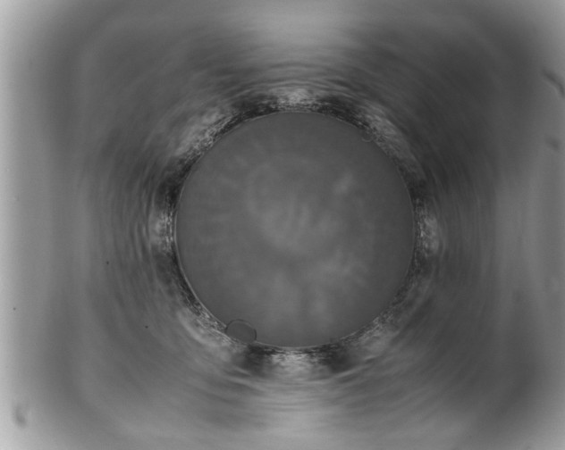X0000101220419200807071352