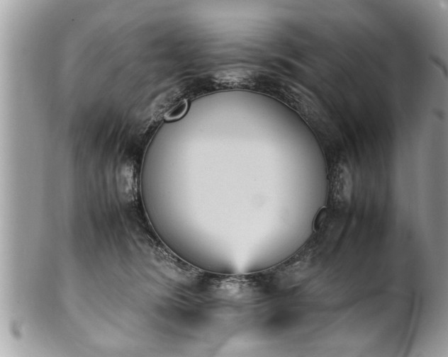 X0000101220420200807071352