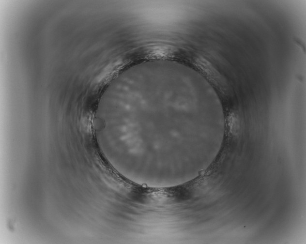 X0000101220423200807071352