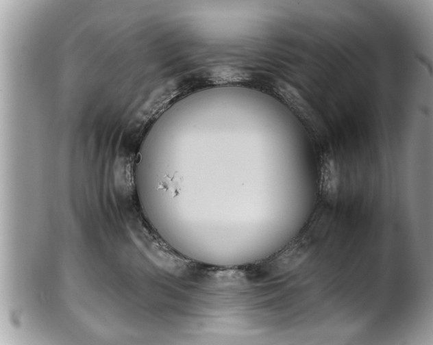 X0000101220426200807071352