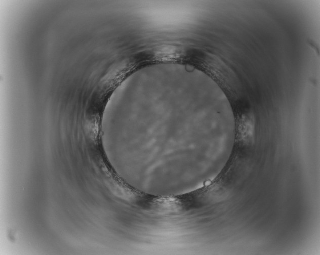 X0000101220427200807071352
