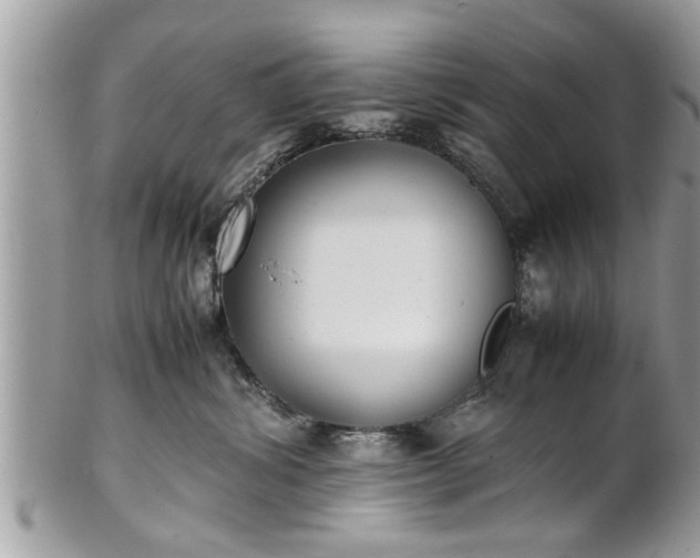 X0000101220428200807071352