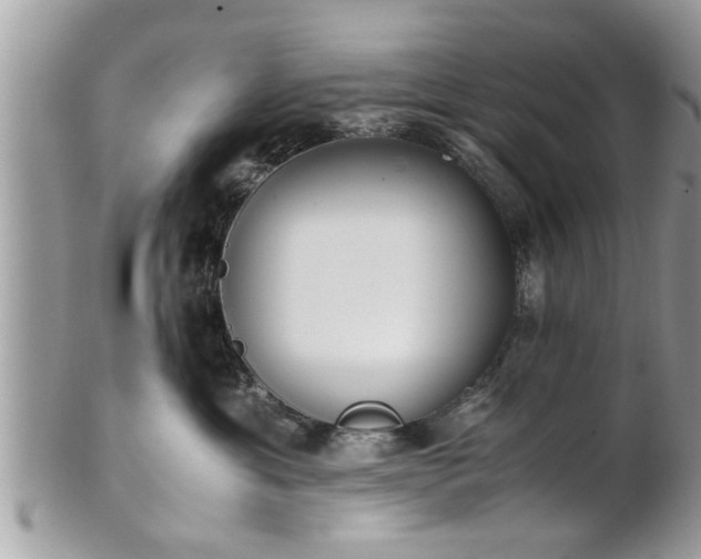 X0000101220429200807071352