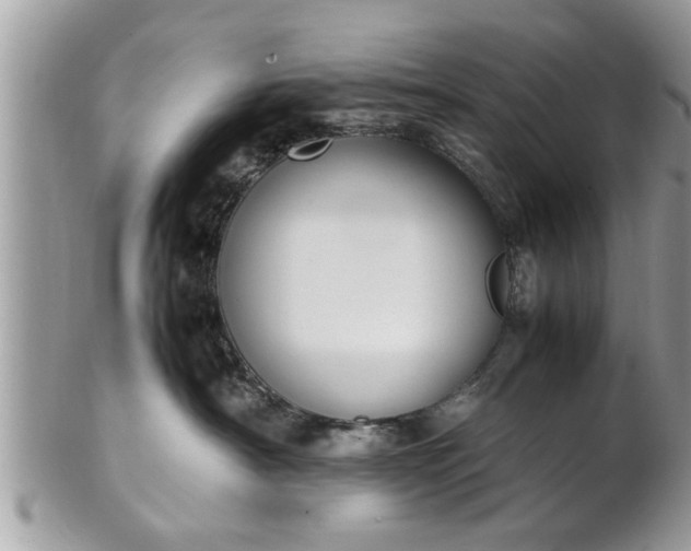 X0000101220430200807071352
