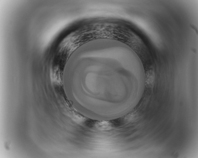 X0000101220431200807071352