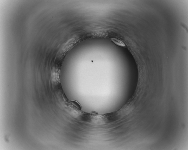 X0000101220432200807071352