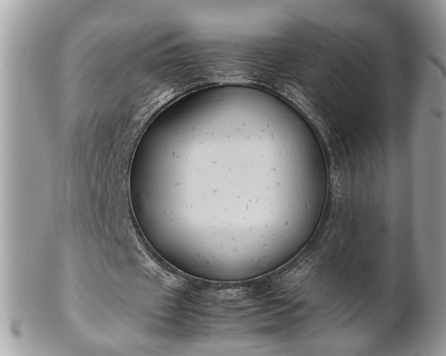 X0000101220433200807071351