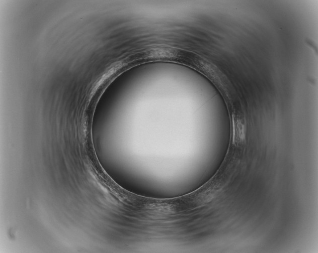 X0000101220435200807071351