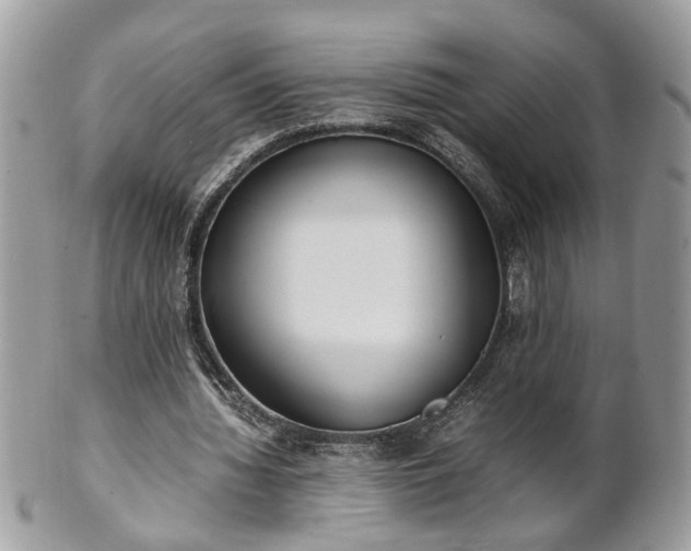 X0000101220436200807071351