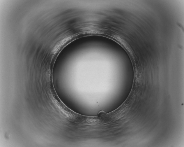 X0000101220437200807071351