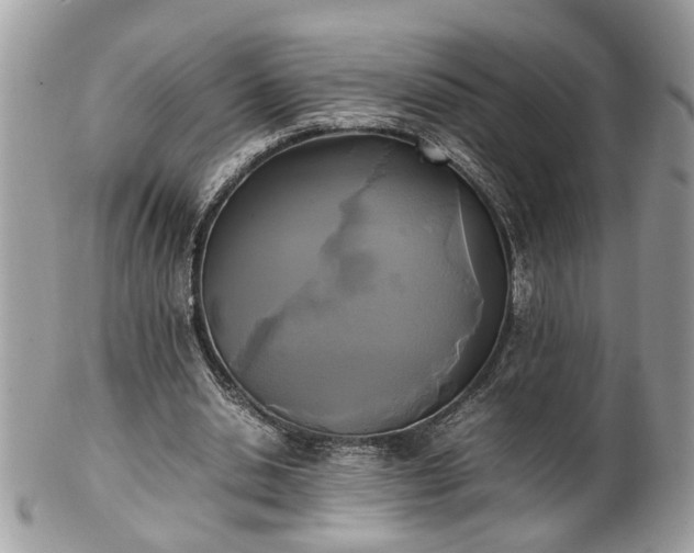 X0000101220438200807071351