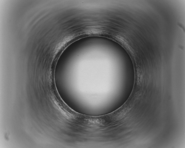 X0000101220439200807071351