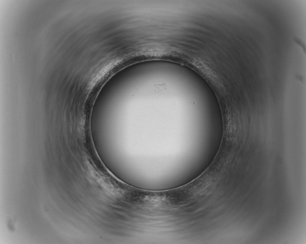 X0000101220440200807071351