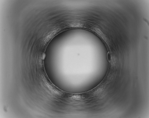 X0000101220441200807071351