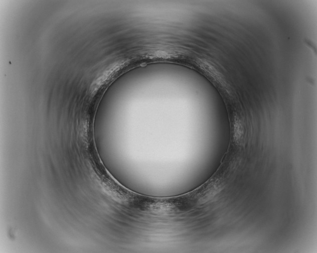 X0000101220444200807071351