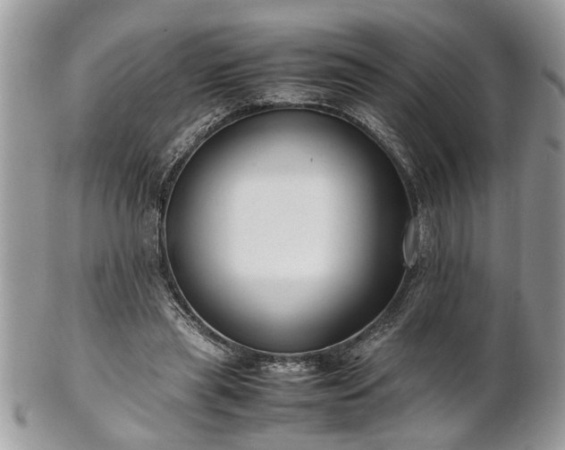 X0000101220445200807071351